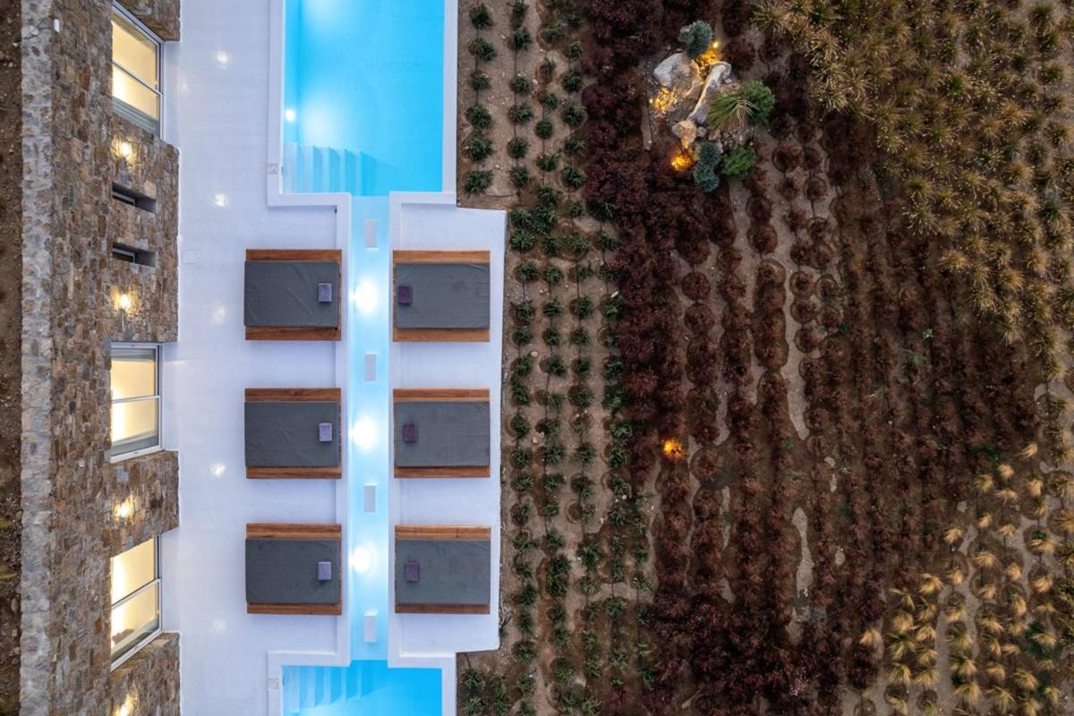 Villa Amuse Mykonos Panormos (Mykonos)