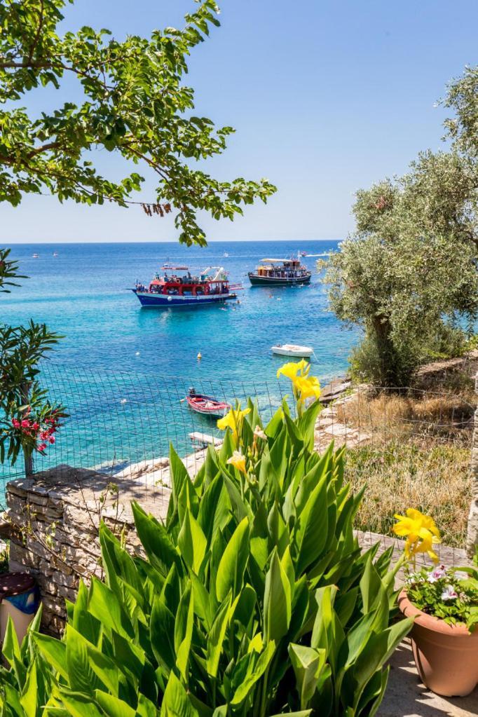 Anthi Aliki (Thasos)