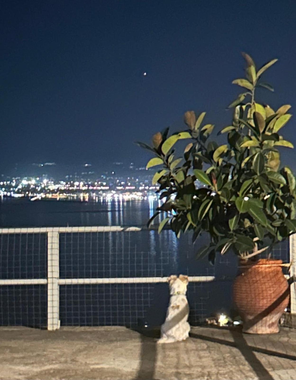 Apartment Messinian Moon *