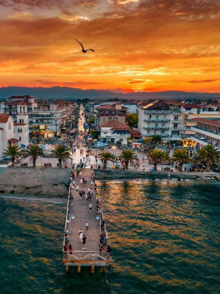 Dedalus Paralia Katerinis