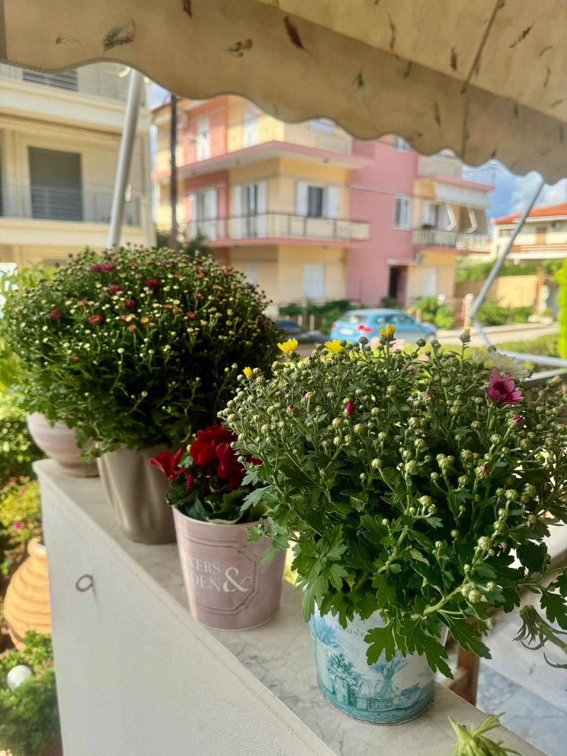 Aparthotel Theoxenia Paralio Astros