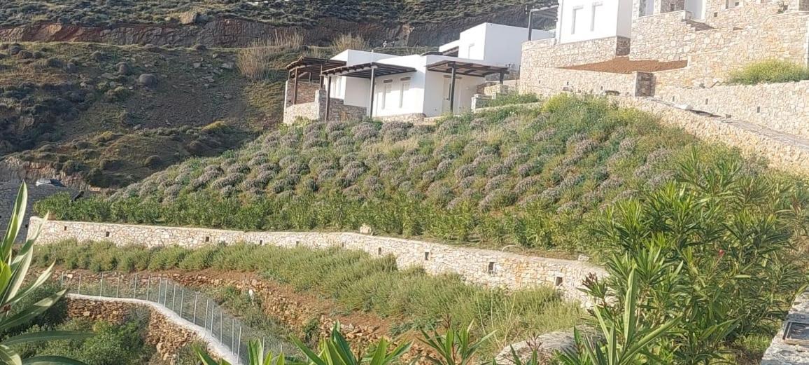 Petradi & Apartment *