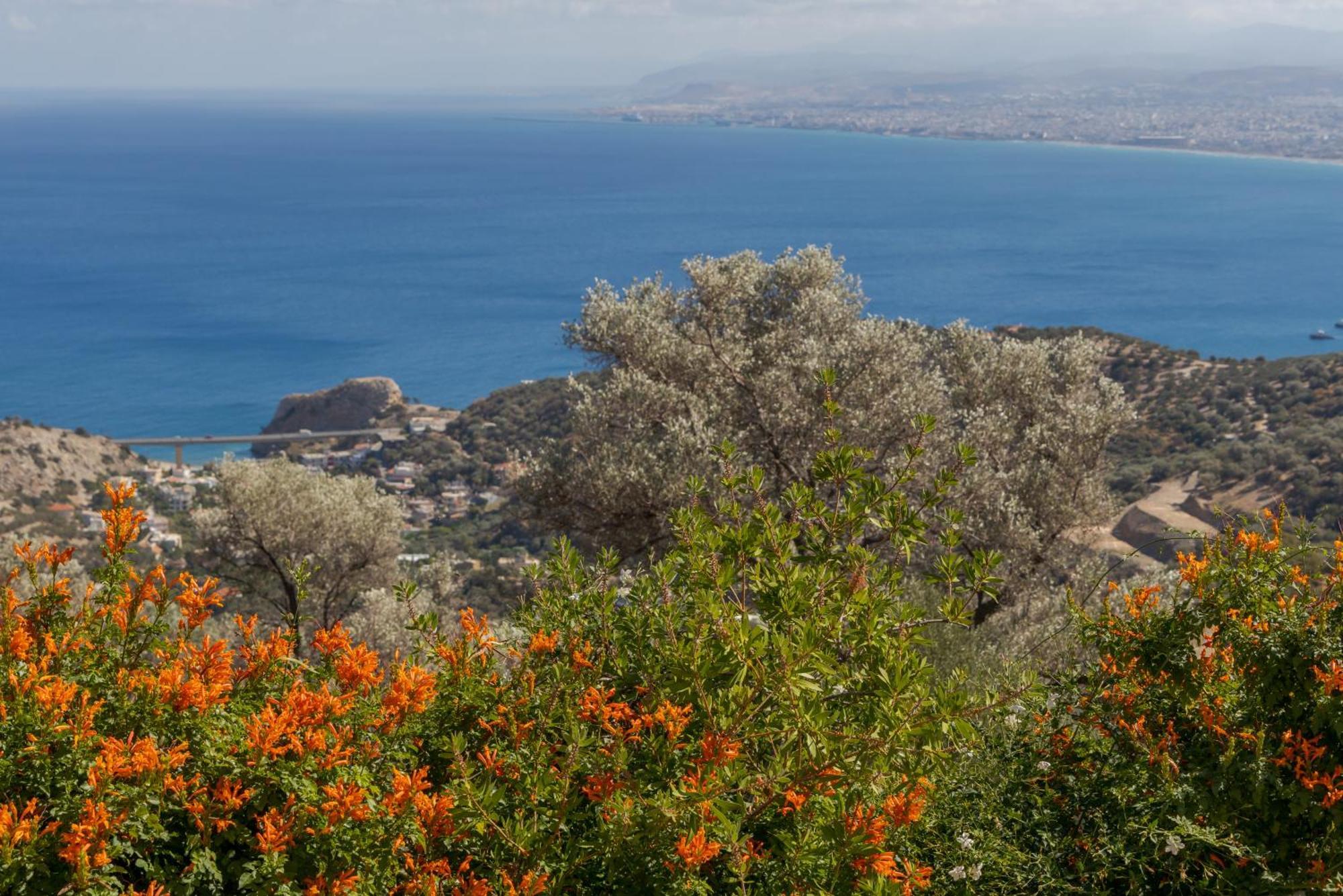 Alexandros Villa Rodhia (Crete)