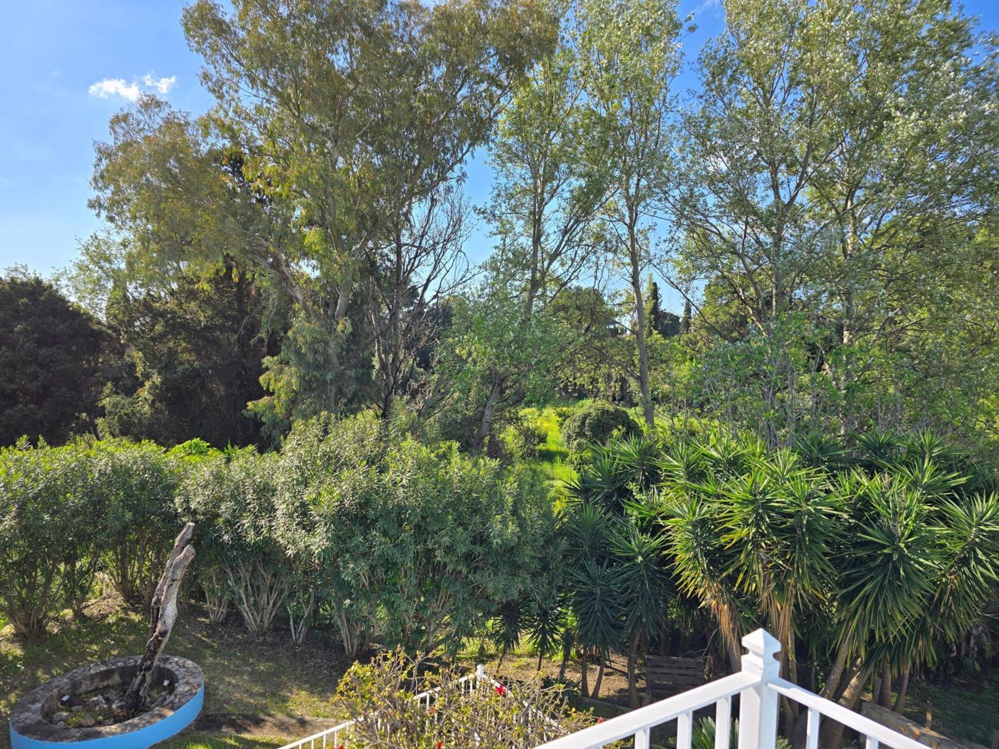 Skala - - Sleeps 7 - Parking - Garden *