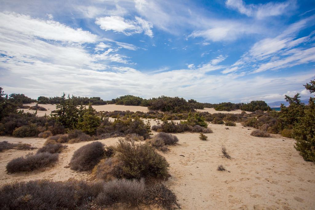 Villa Alyko Aliko Beach