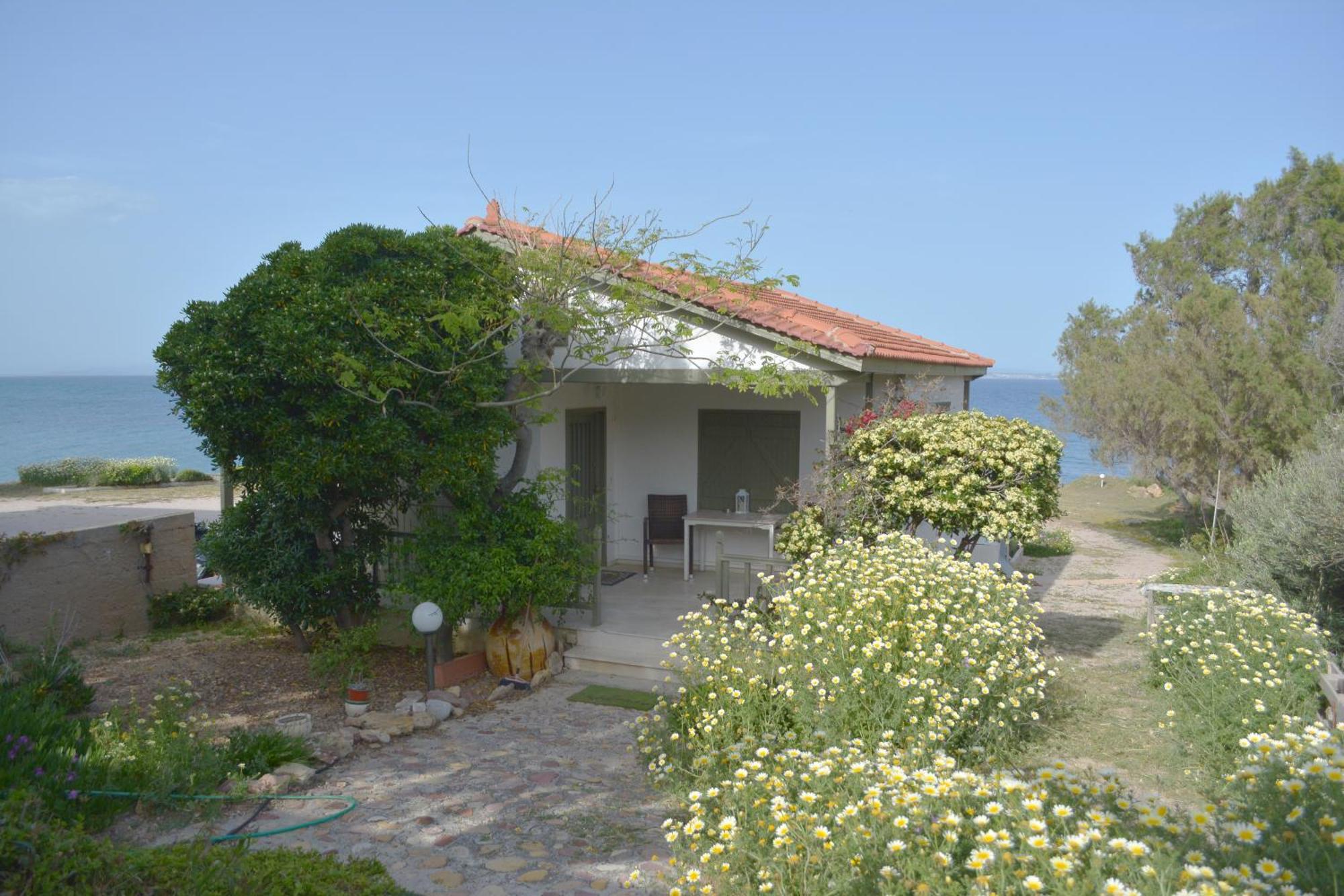 Apartment Aegean Bliss Residences - Karfas