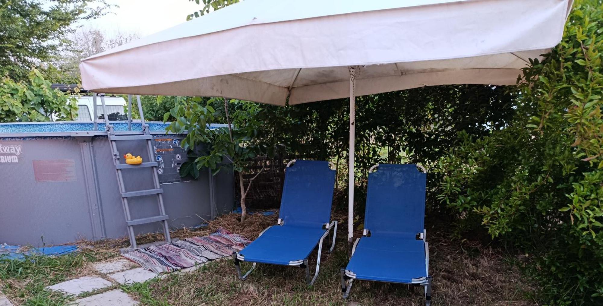 Beautiful Nearby Beach House With Garden, Private Pool And Large Yard *