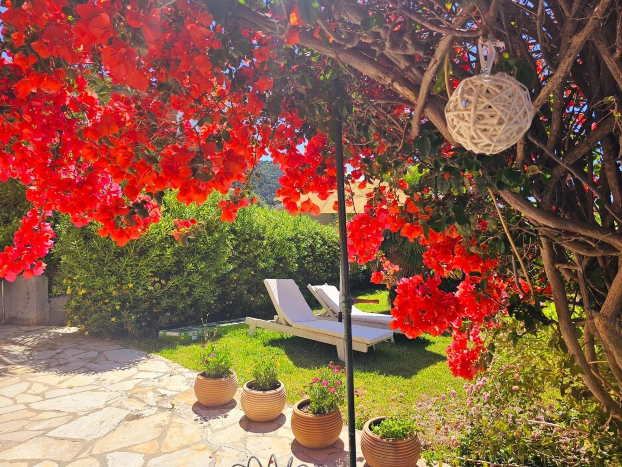 Apartment Corfu 45