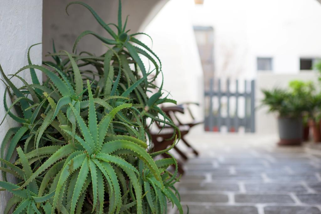 Castro Guest house Folegandros Town