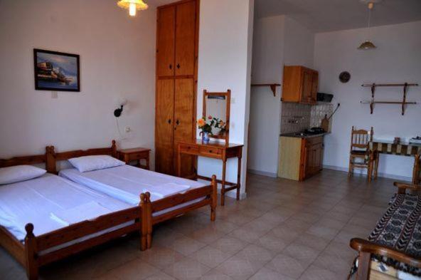 Apartment Alkioni Karlovassi