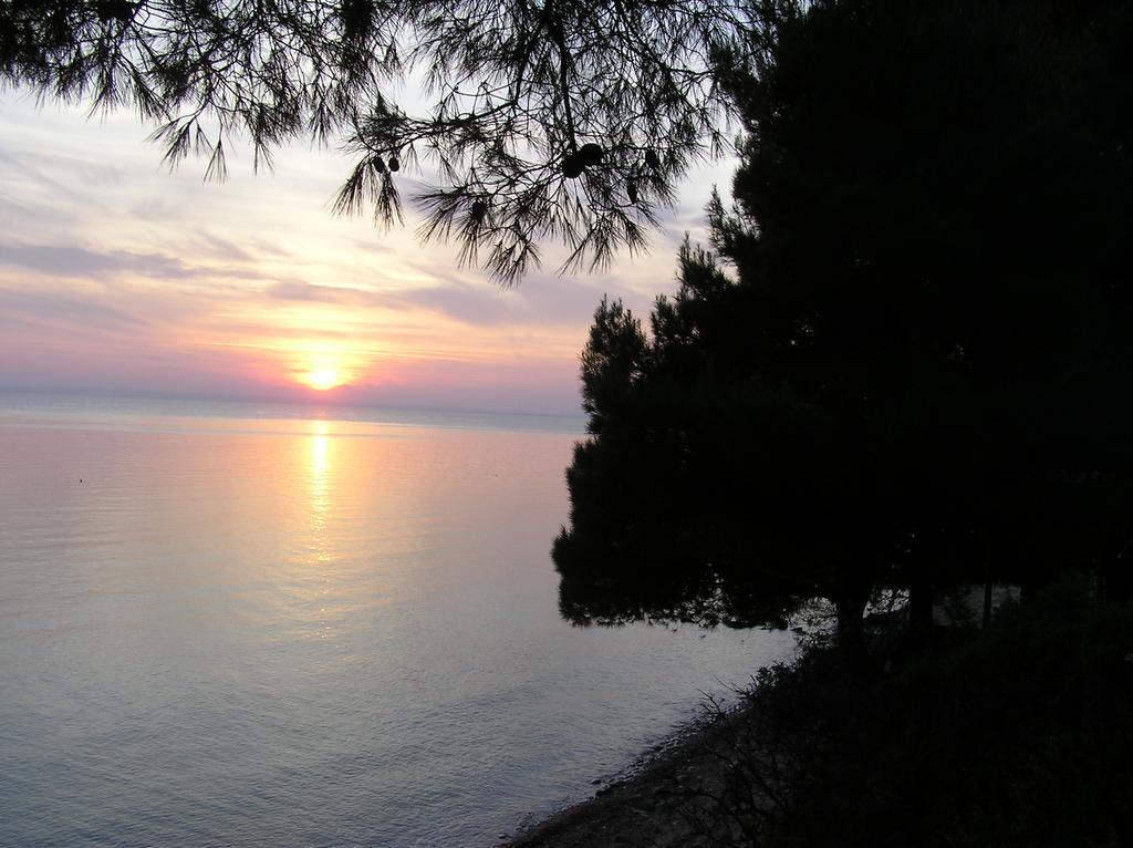 Holiday home Leonardo, Houseboat In The Pool Nikiti (Sithonia)