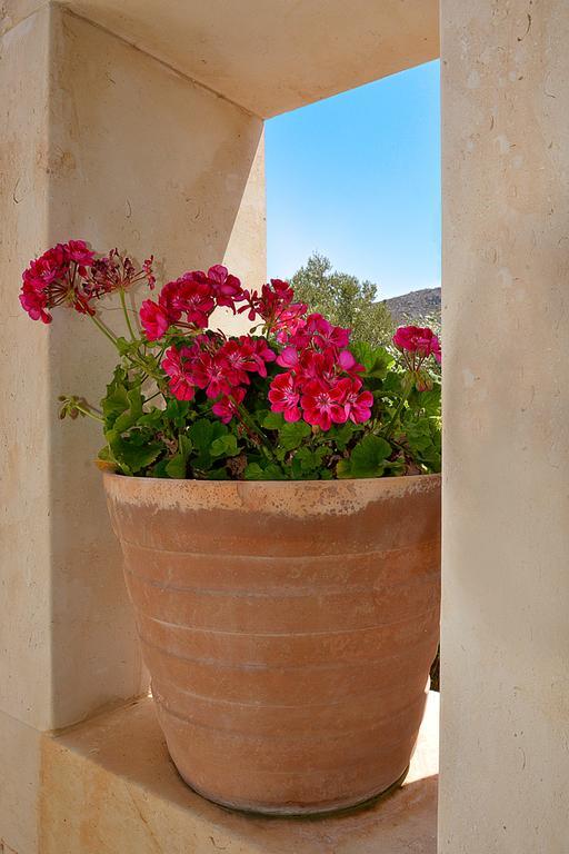 Olive Coast Villa Palekastro