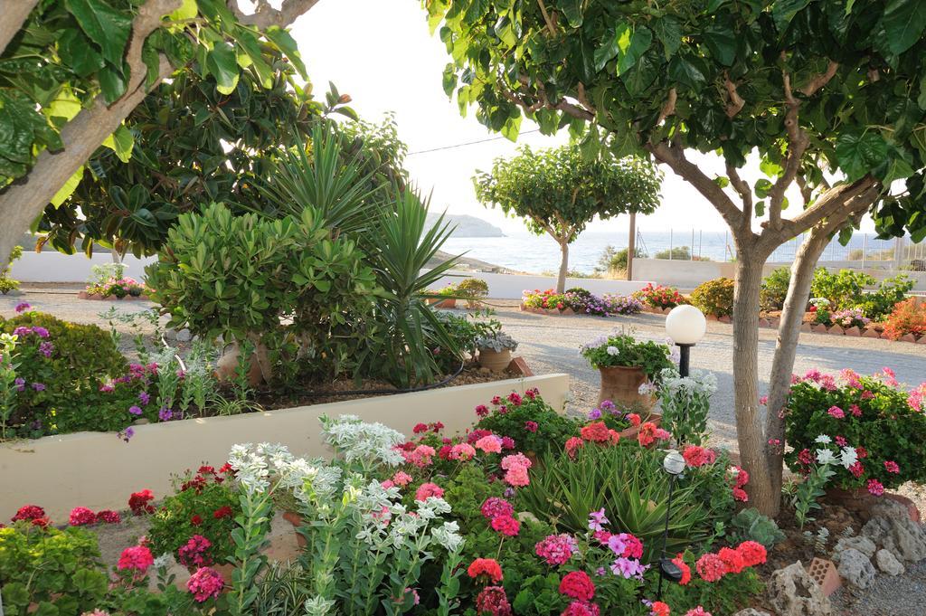Creta Sun