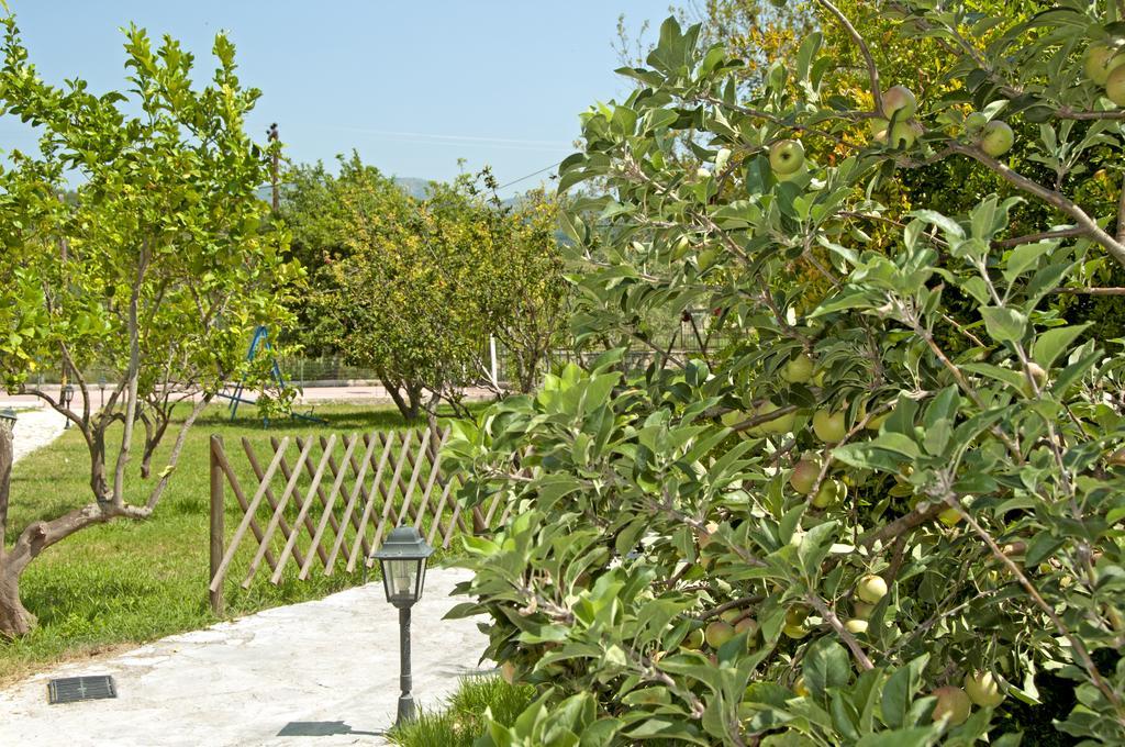 Elina Hotel Perdika (Epirus)