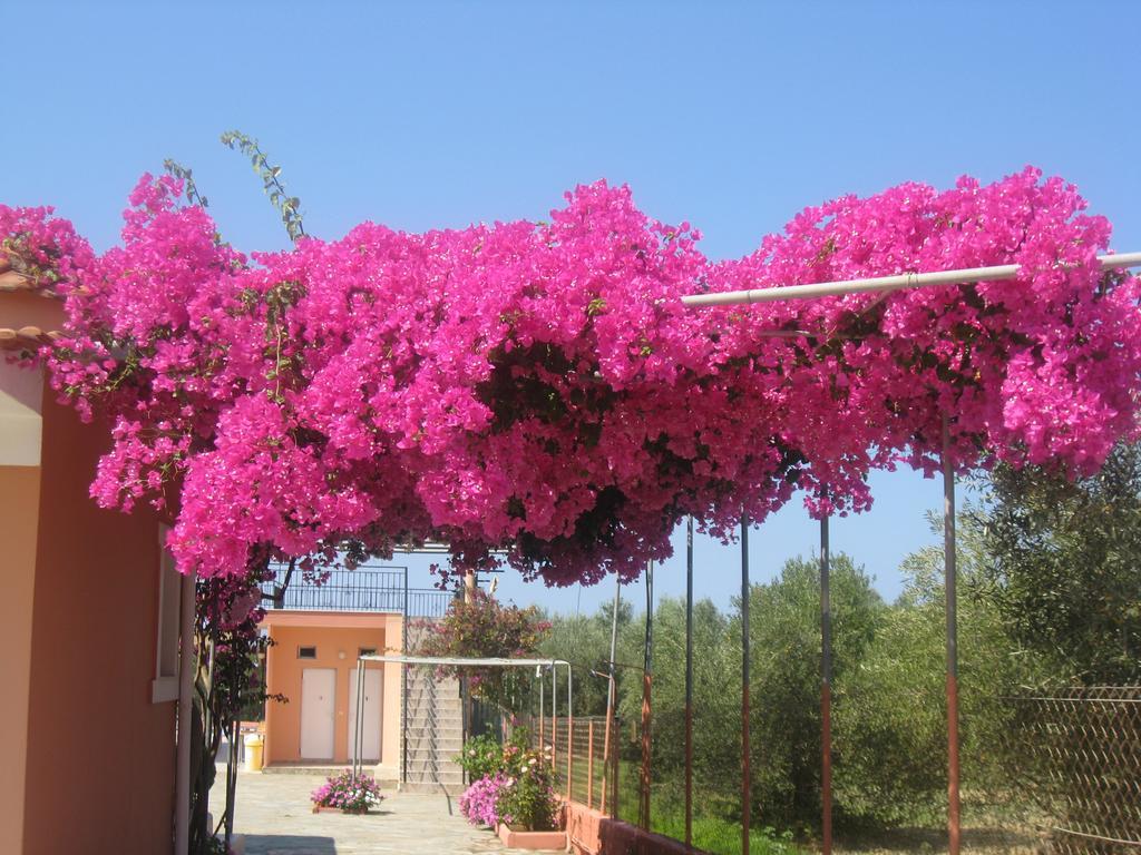 Aparthotel Paradise 2*