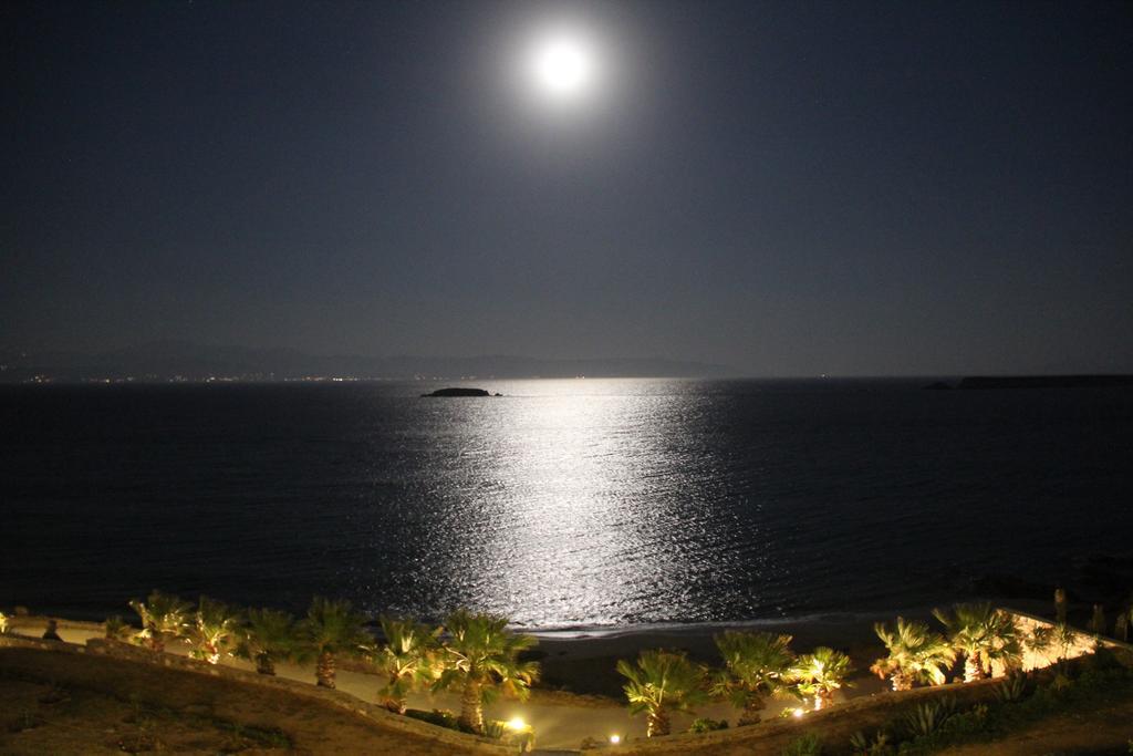 Paros Blue Dolphin Fully Renovated By Rivea Group *