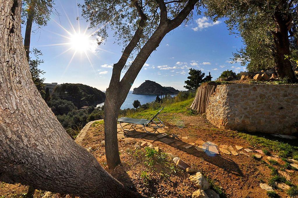 Dolphin Apartment Paleokastritsa