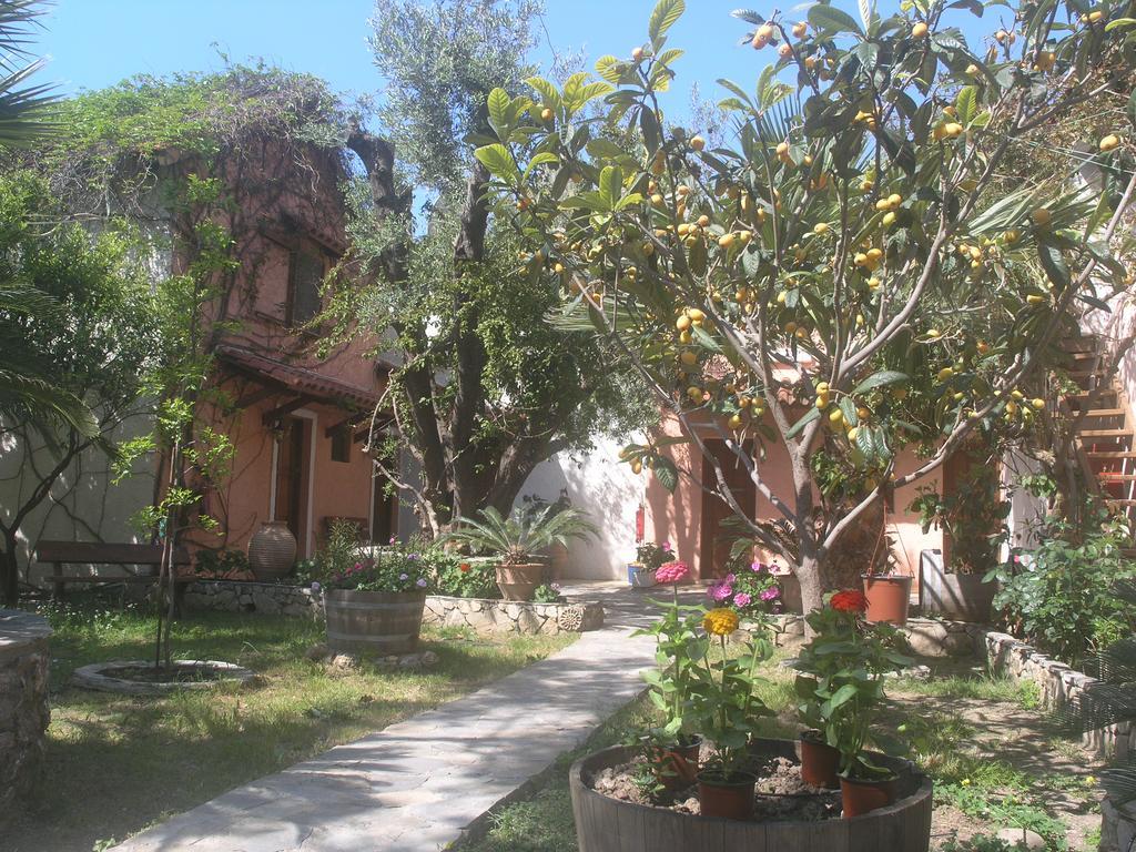 Olive Tree Cottages Holiday home Palaiochora