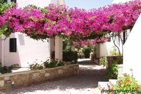 Ourania Aparthotel Hersonissos (Crete)