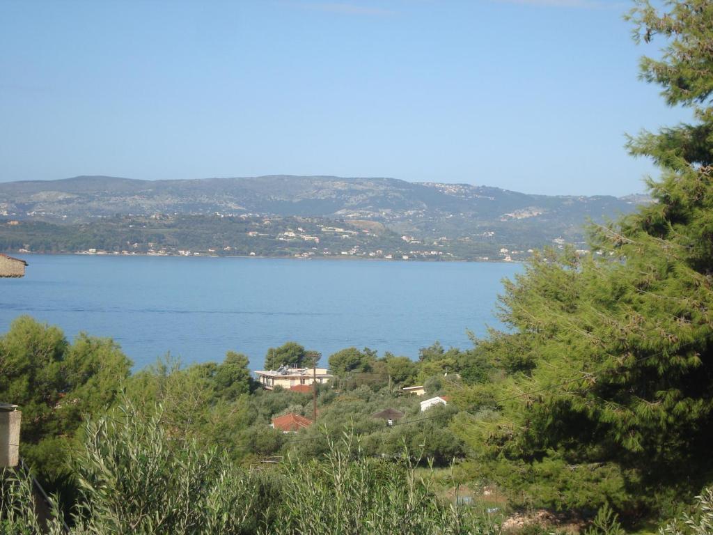 Apartment Kappatos &