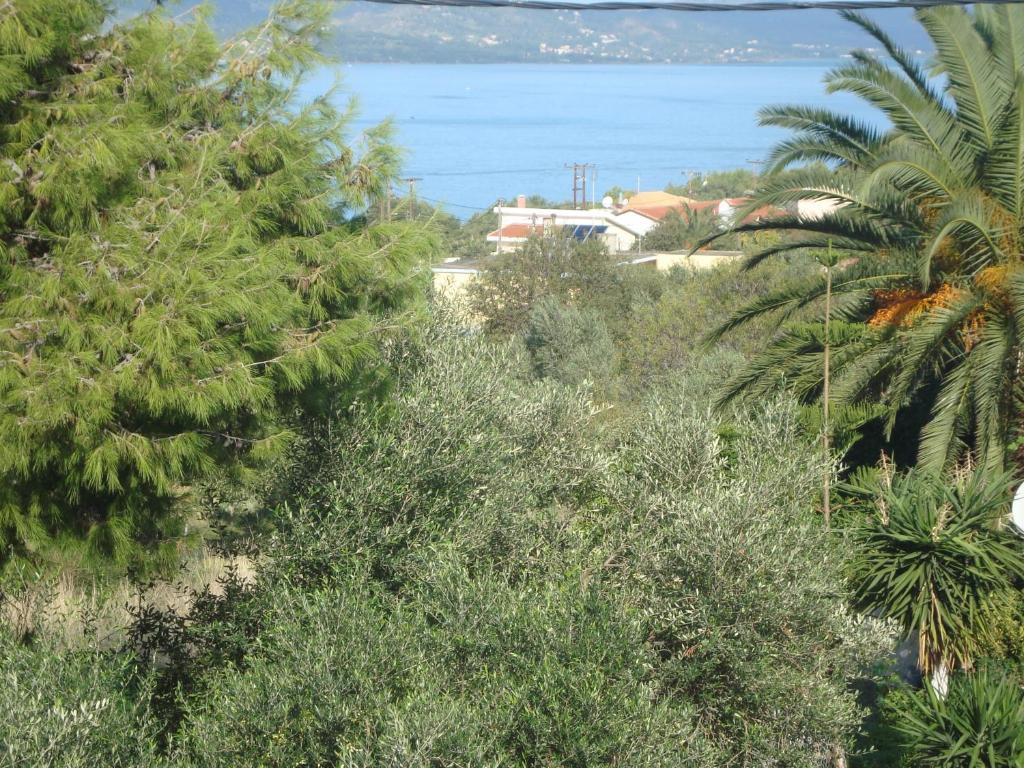 Kappatos & Apartment