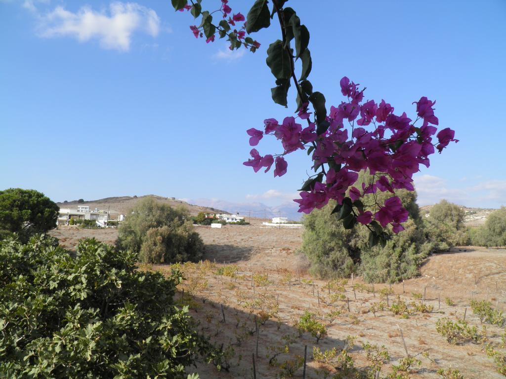 Aparthotel Galaxias Kalamaki (Heraklion)