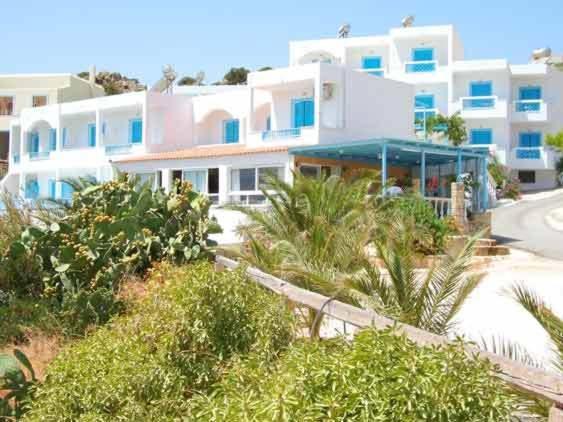 Castelia Bay Amoopi