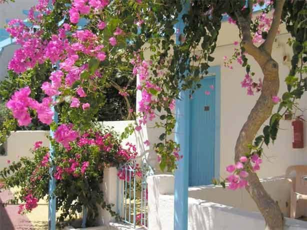 Castelia Bay Hotel