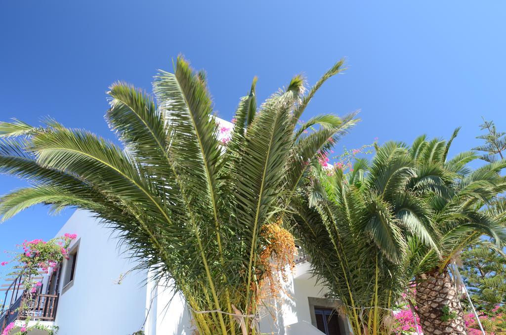 Asteri Hotel 2*