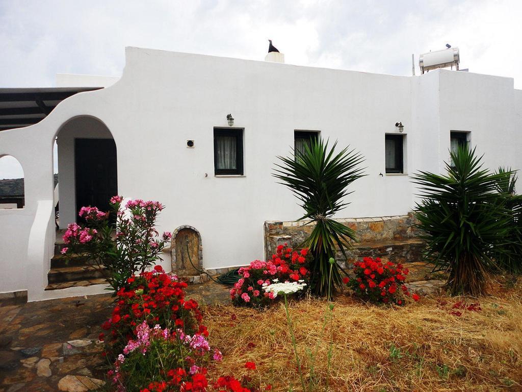 Thomas - Chora Apartment Katapola