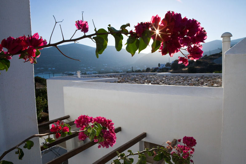 Hotel Alexandros