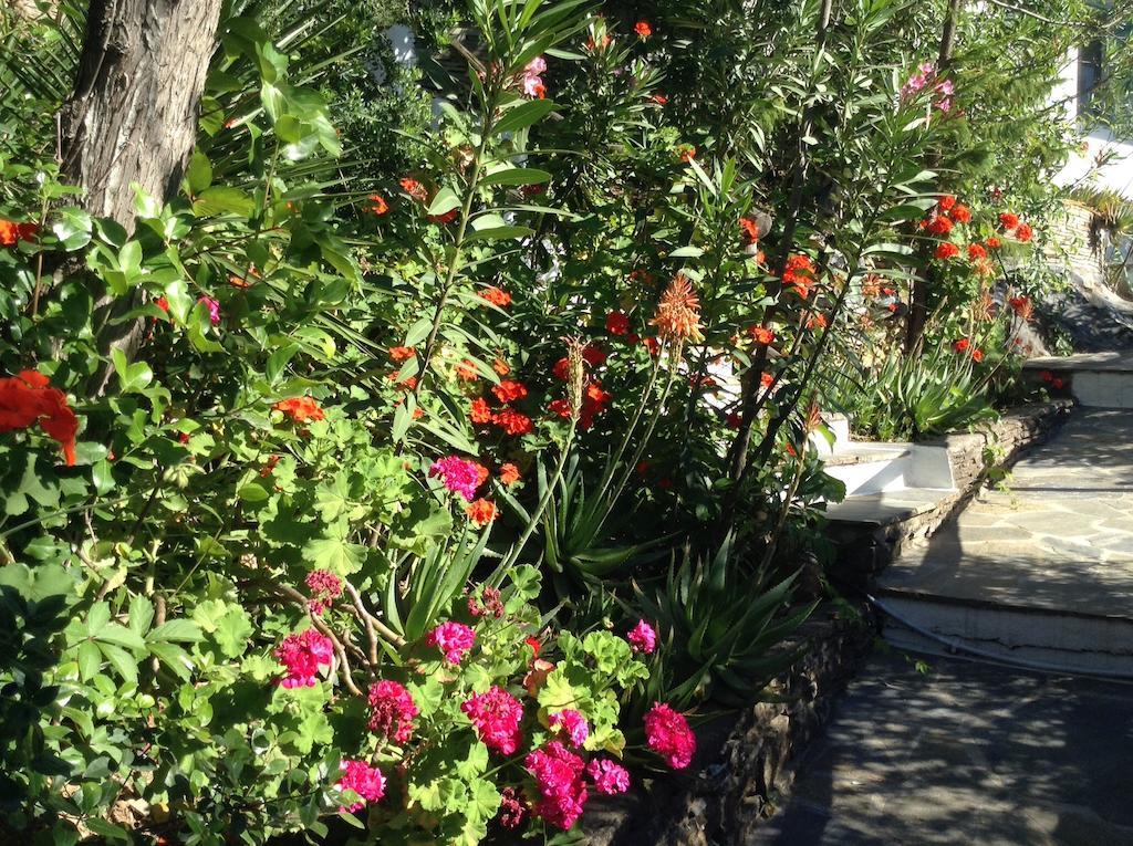 Apartment Dimitra