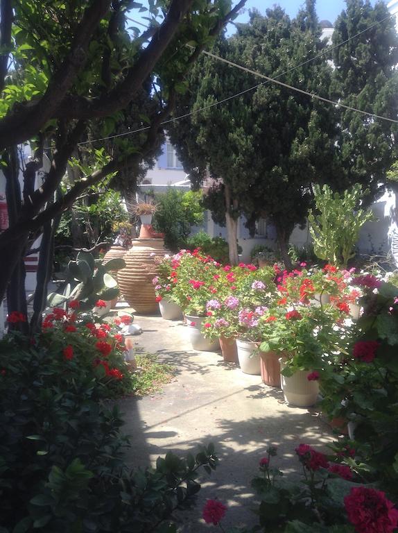 Prasino Oniro Tinos