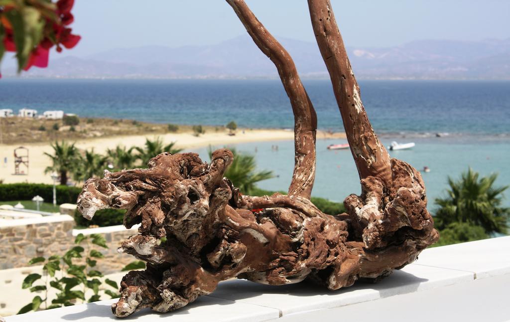 Hotel Paros Blue Dolphin Fully Renovated By Rivea Group Chrisi Akti (Paros)