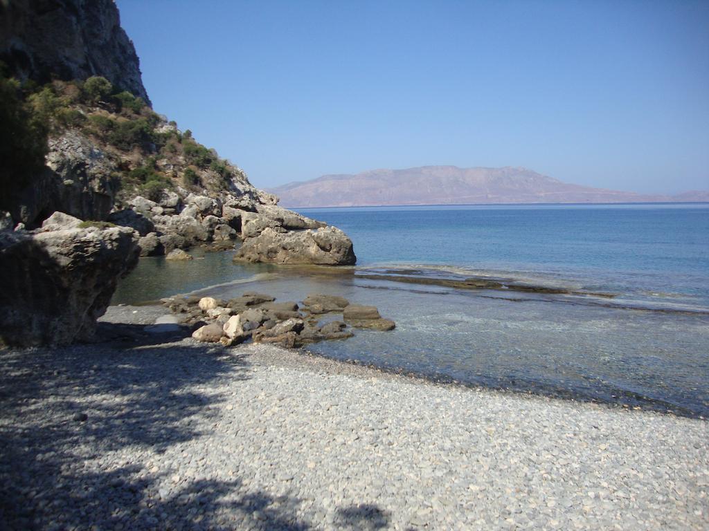 Ravdoucha Ravdhoukha