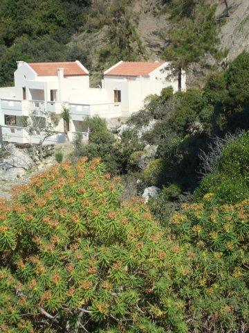 Apartment Ravdoucha