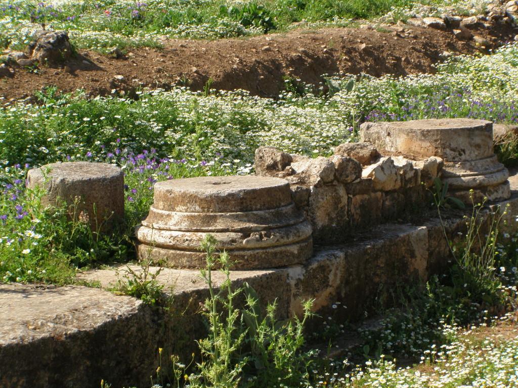 Villa Anemole Traditional Cretan *