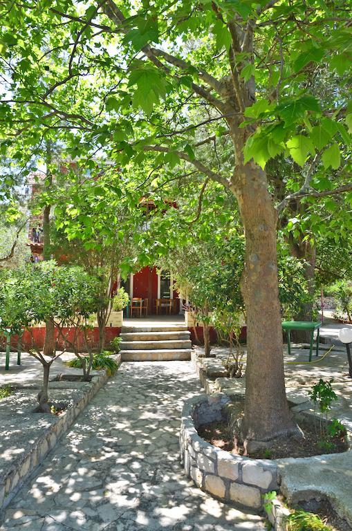 Belvedere Zakynthos Studios