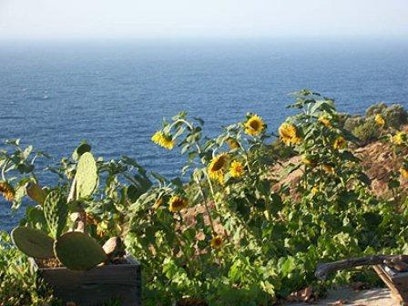 Niriides Studios Armenistis (Ikaria)