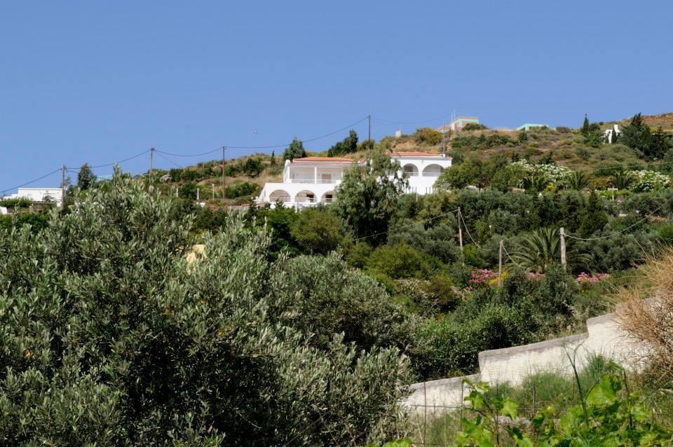 Guest house Kymothoi & Pool Bar Gavrio