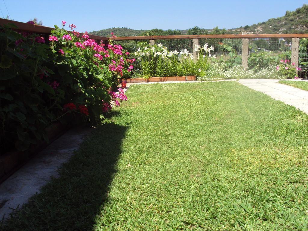 Stella 2 Toroni