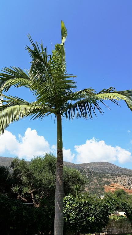Aparthotel Emerald Hotel Malia (Crete)