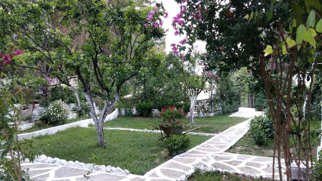 Apartment Ionian Paths