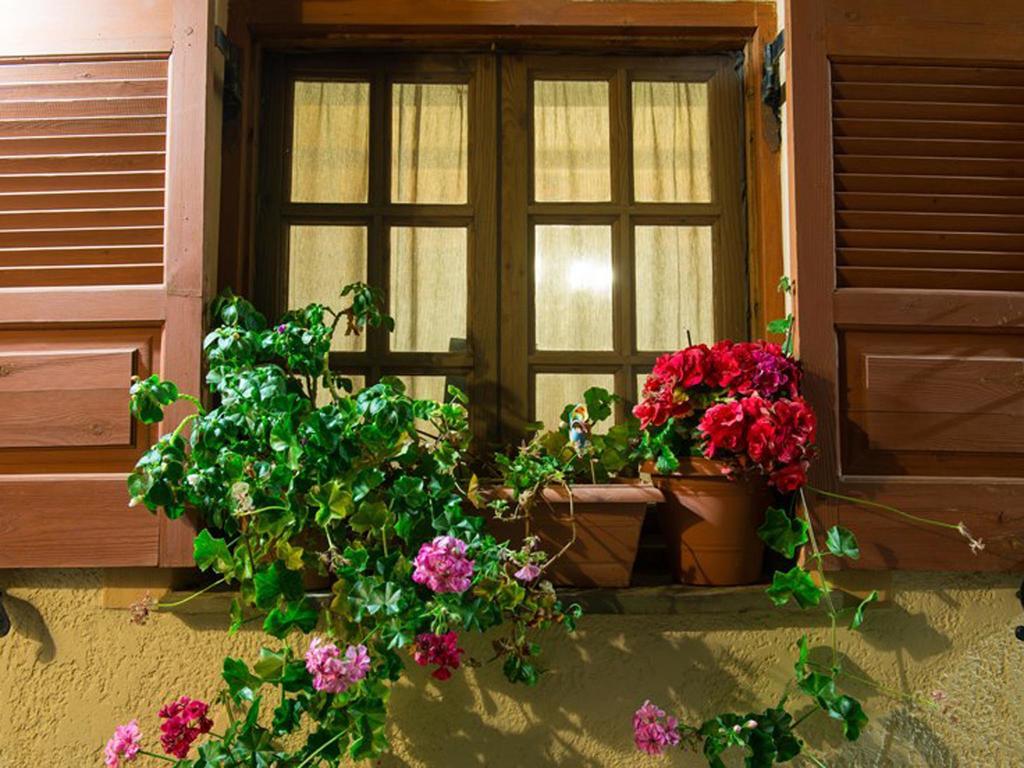 Niriides Studios