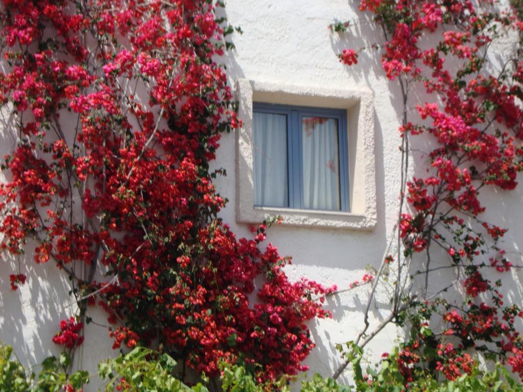 Apartment Nikolas Amoudara (Heraklion)