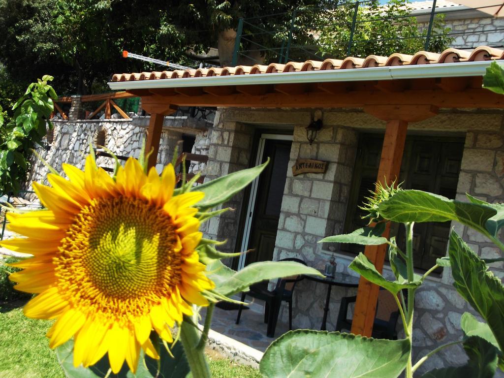 Guest house Stone
