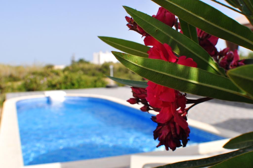 Villa Ariadne House Agia Anna (Naxos)