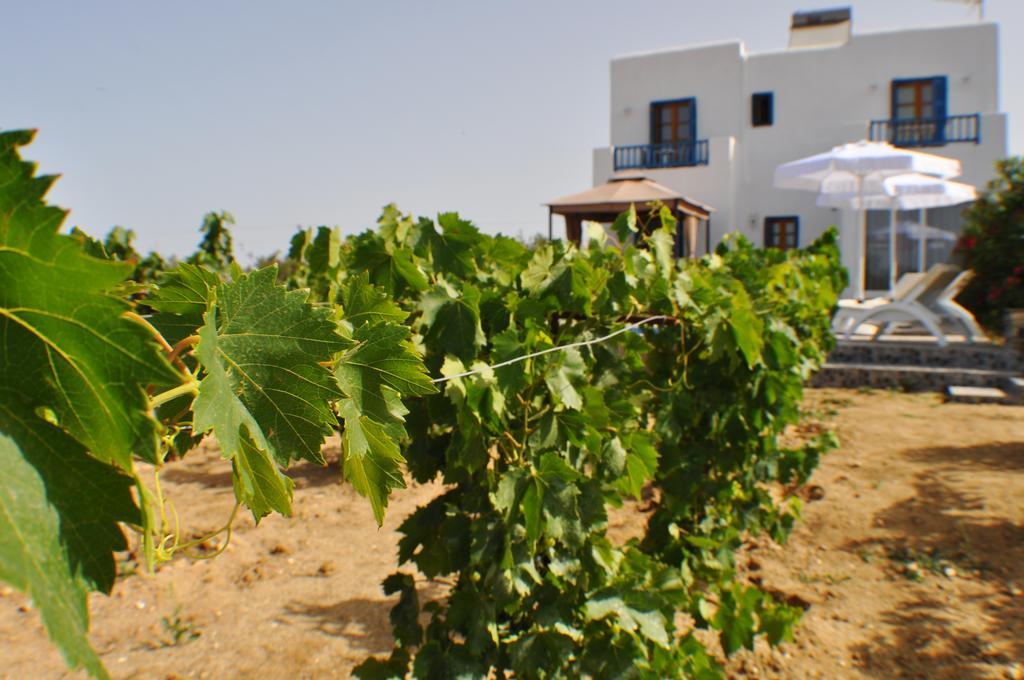 Villa Ariadne House *