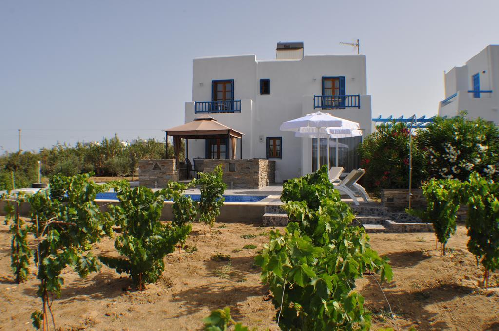 Villa Ariadne House