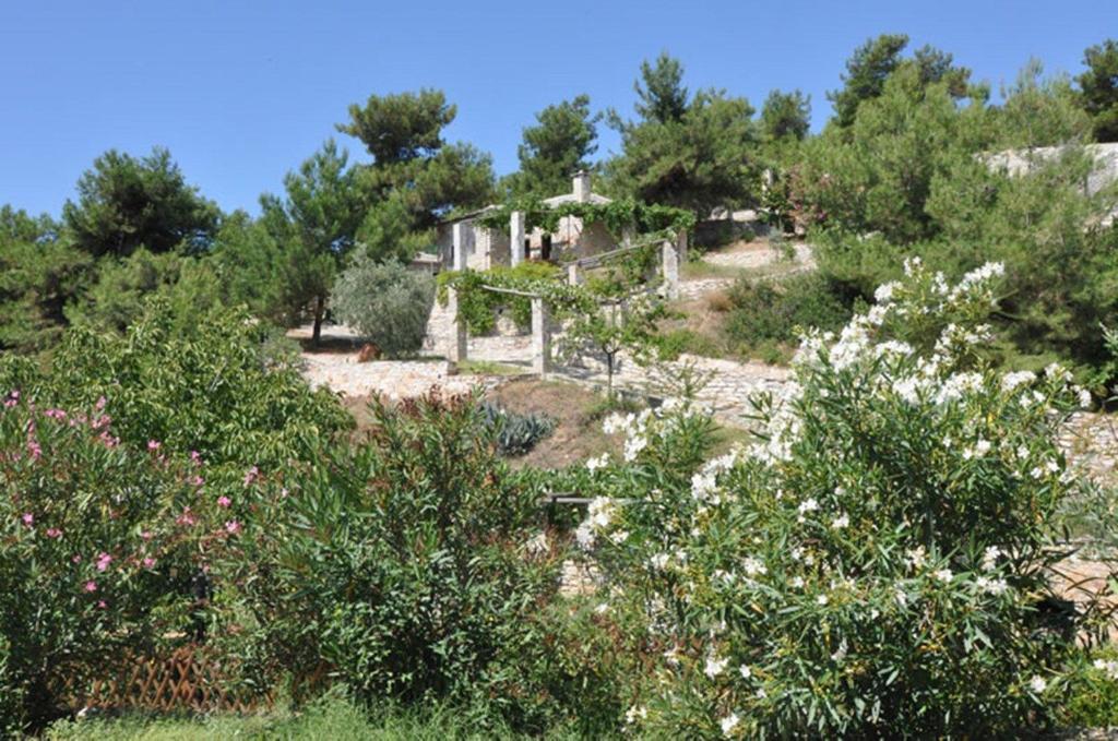 Arsinoi Stonehouses Apartment *